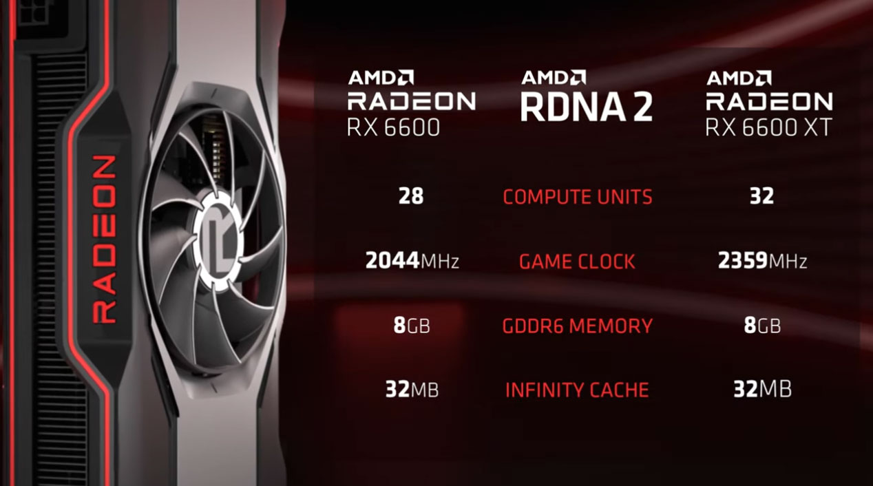 AMD合作夥伴推出Radeon RX 6600顯示卡|比特科技網