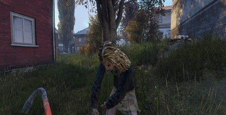 how much is dayz for pc