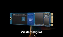 Western Digital calls NAND flash pricing bottom