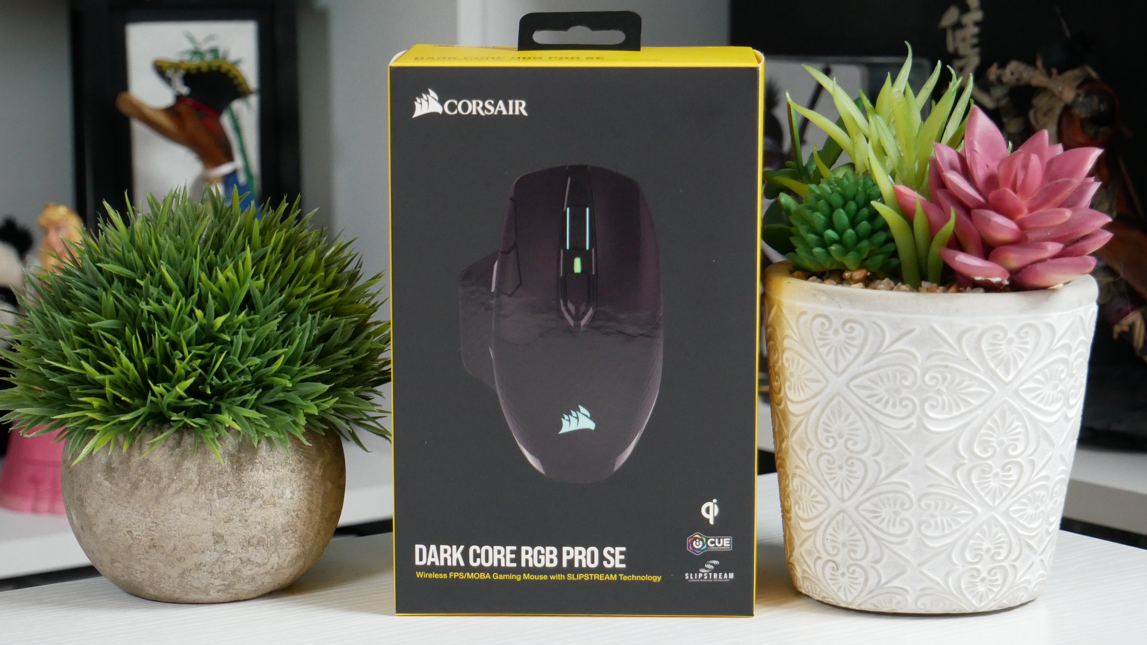 Dark core rgb pro best sale se wireless gaming mouse