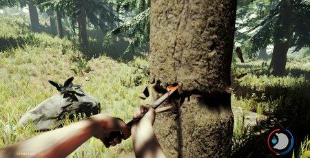 The 10 Best Survival Games