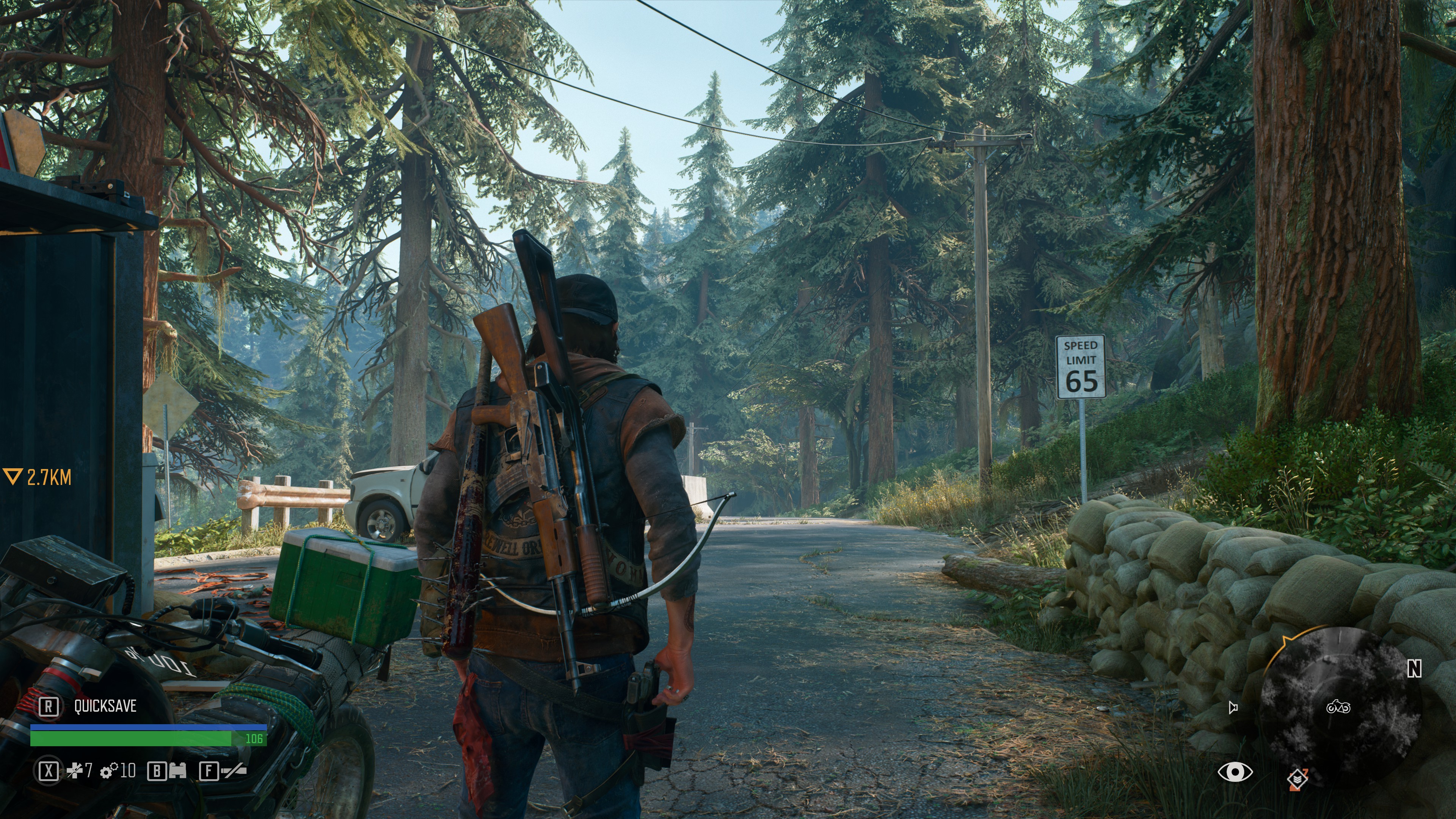 Days Gone PC Review - Not So MMO